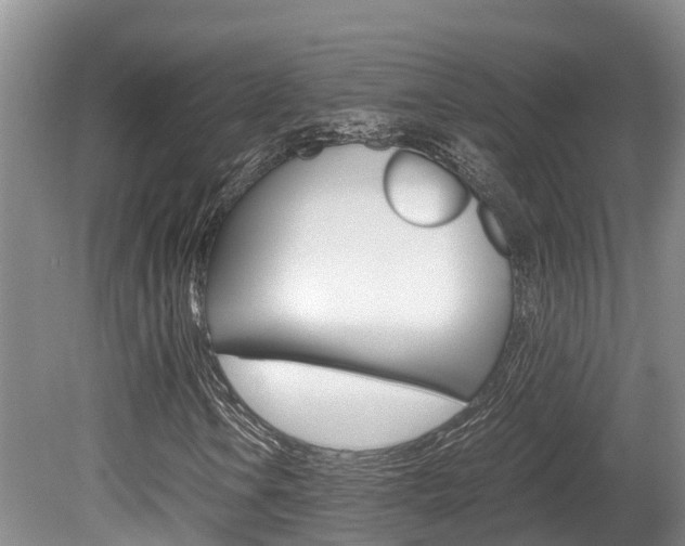 X0000080711106200612150855