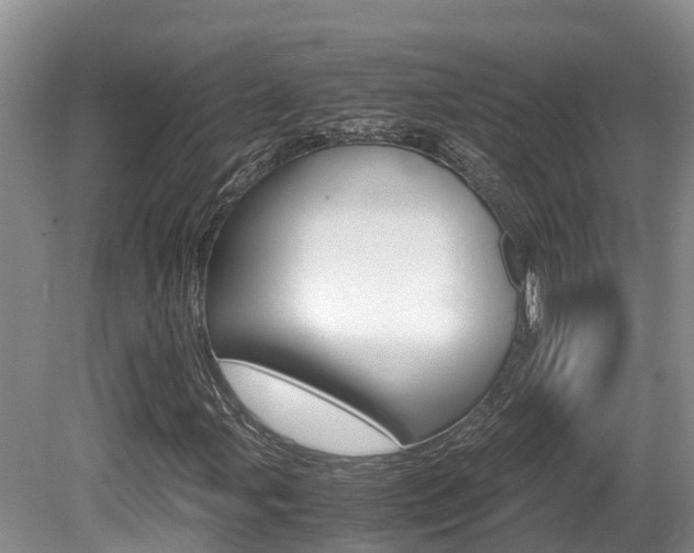 X0000080711107200612150855
