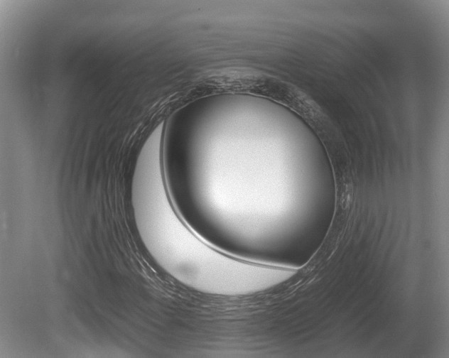 X0000080711108200612150855