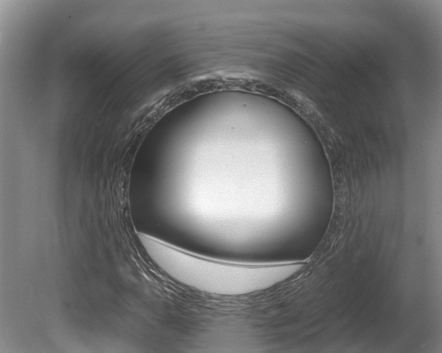 X0000080711110200612150855
