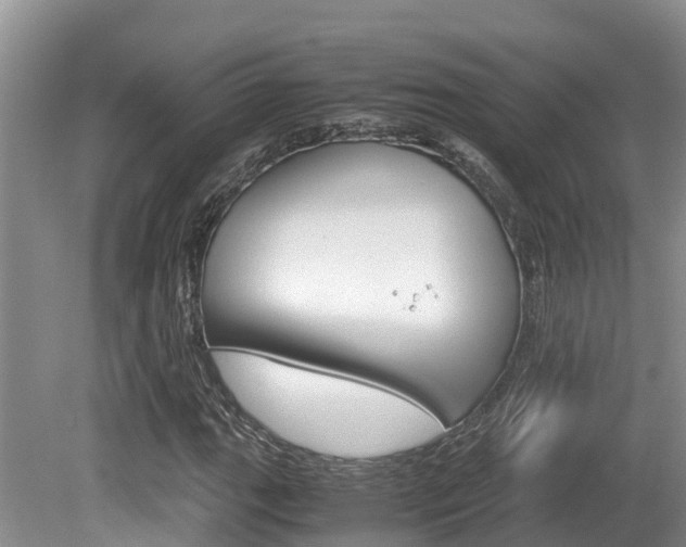 X0000080711111200612150855