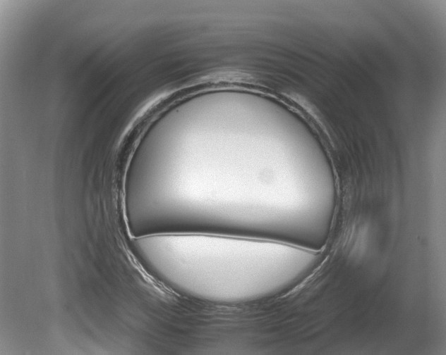 X0000080711115200612150855