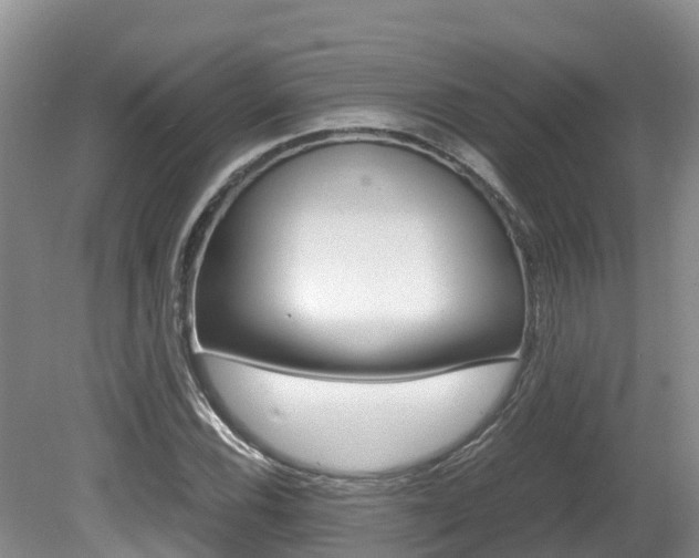 X0000080711116200612150855