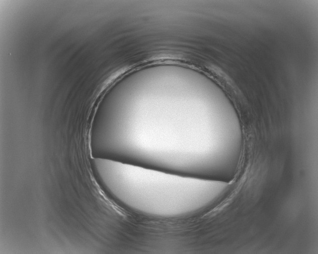 X0000080711121200612150855