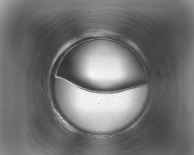 X0000080711122200612150855