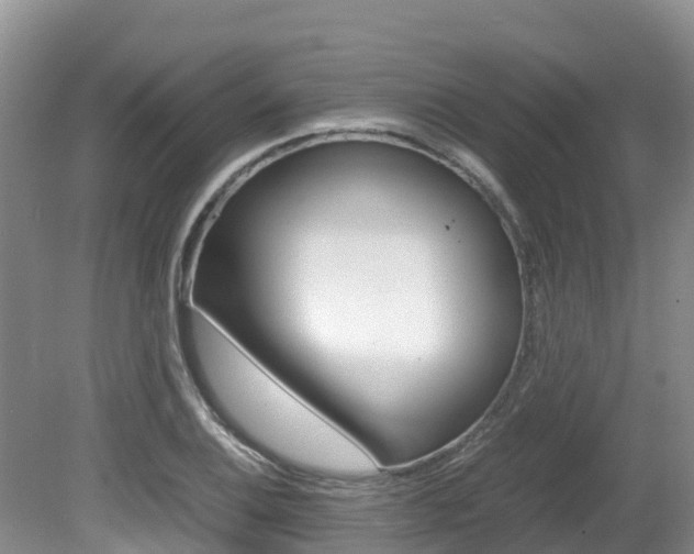 X0000080711124200612150855