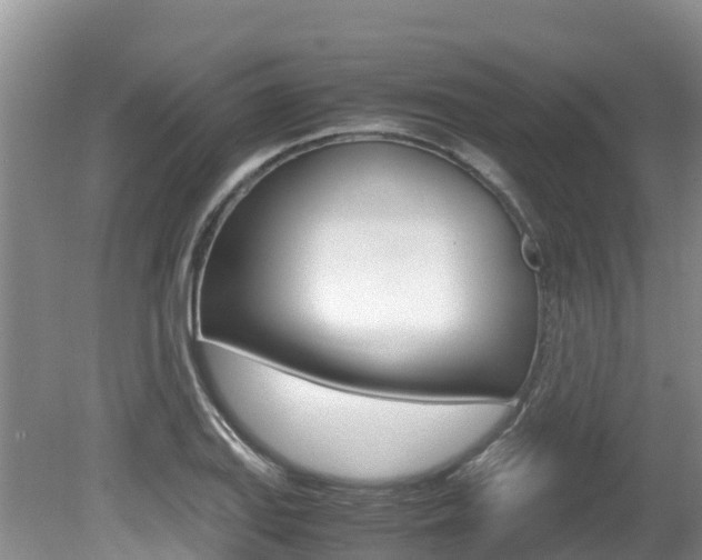 X0000080711127200612150855