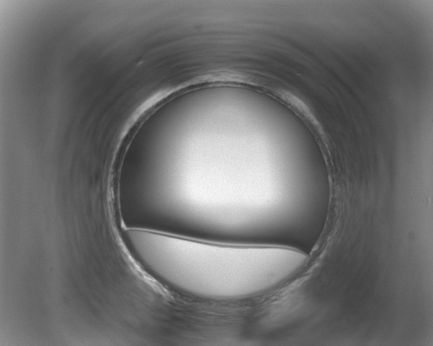 X0000080711133200612150856