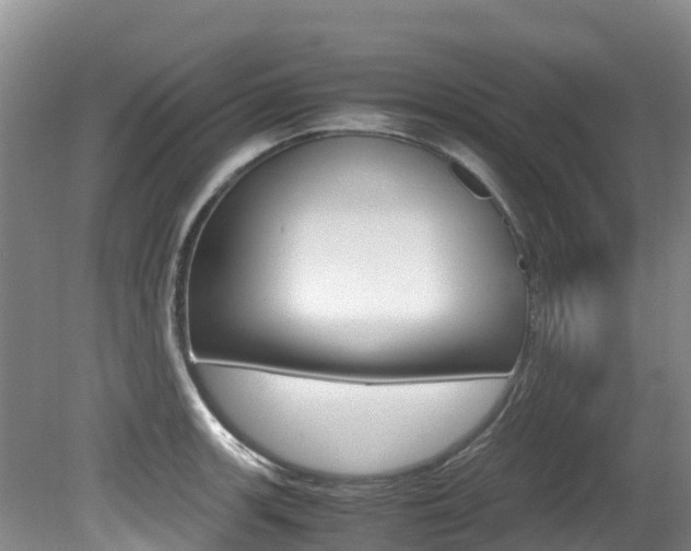 X0000080711139200612150856