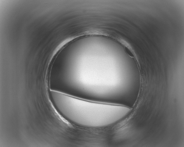 X0000080711141200612150856