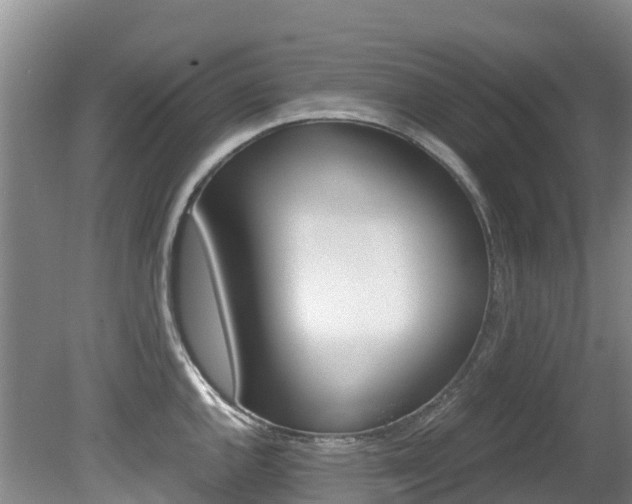 X0000080711144200612150856