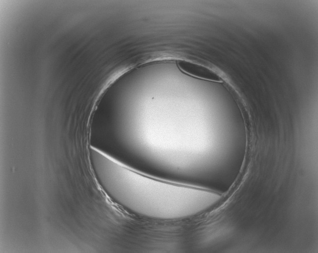 X0000080711145200612150856