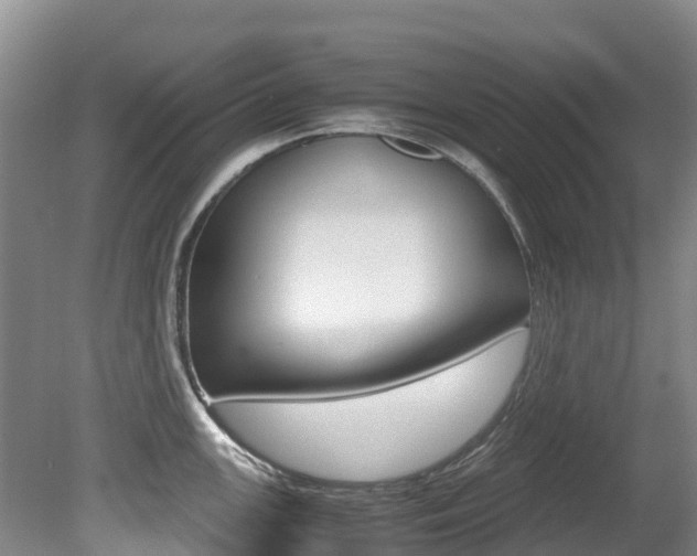 X0000080711147200612150856