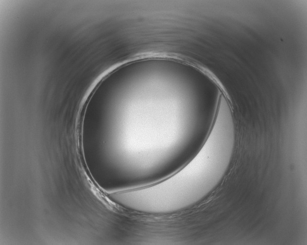 X0000080711148200612150856