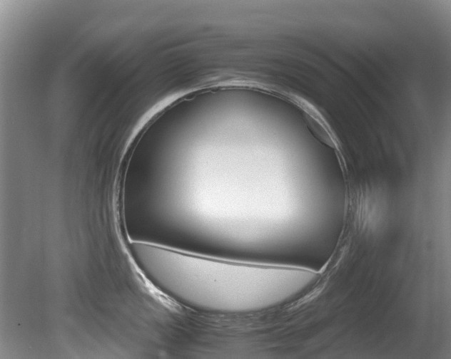 X0000080711149200612150856