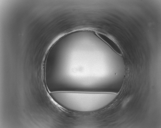 X0000080711151200612150856