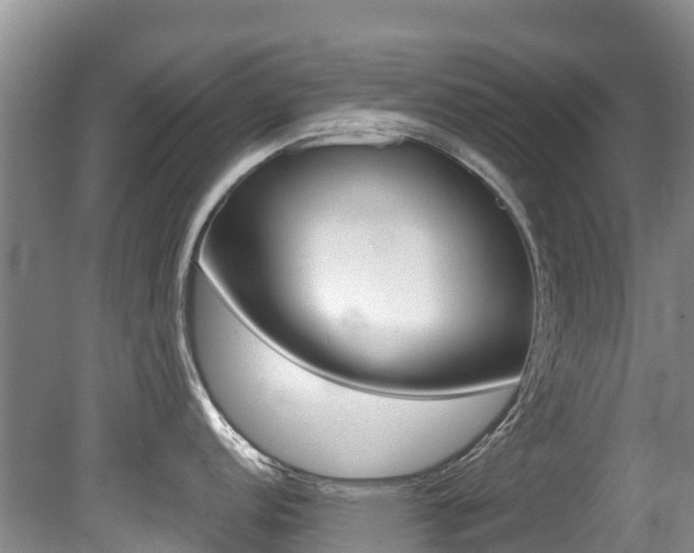 X0000080711152200612150856