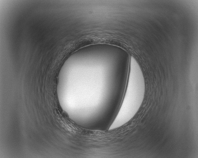 X0000080711153200612150855