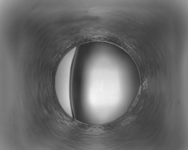 X0000080711156200612150855