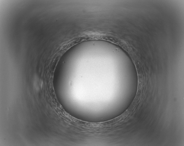 X0000080711157200612150855