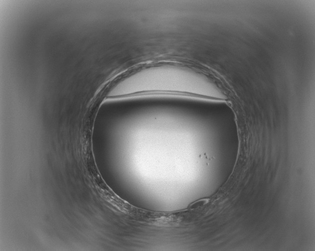 X0000080711160200612150855