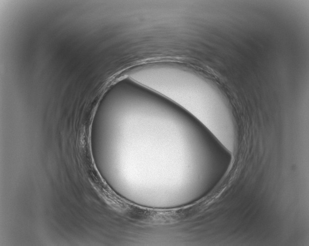 X0000080711161200612150855