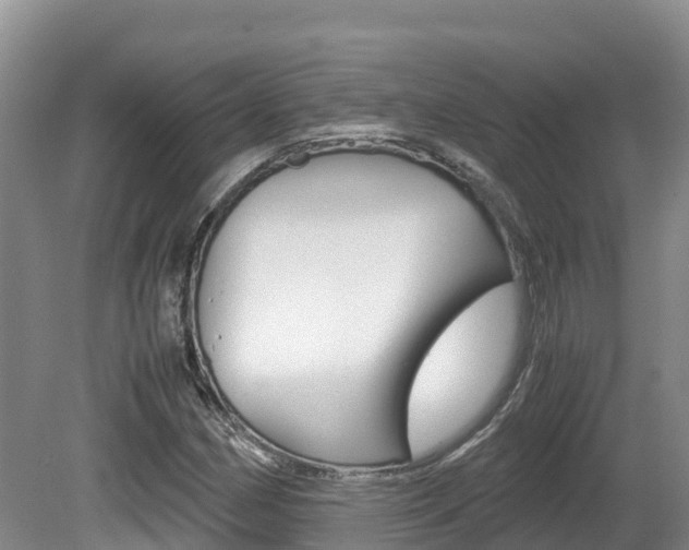 X0000080711162200612150855