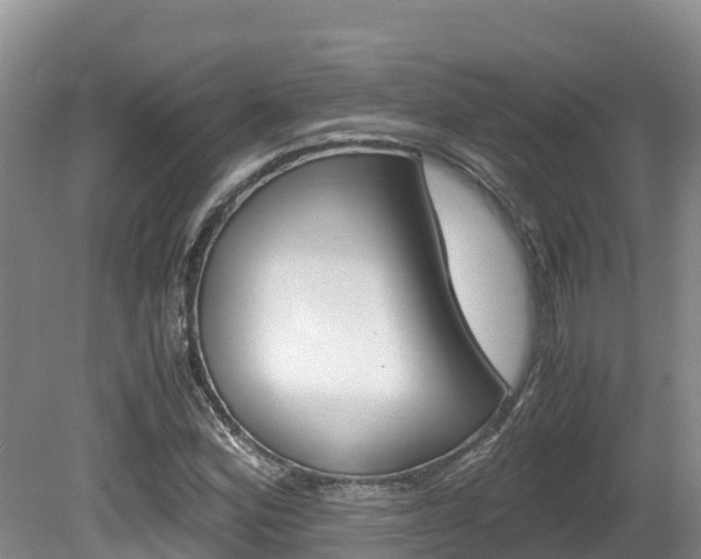 X0000080711164200612150855