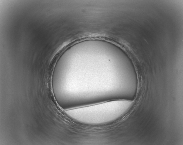 X0000080711165200612150855