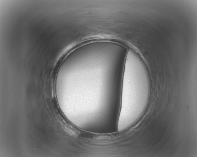 X0000080711171200612150855