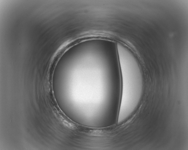 X0000080711172200612150855