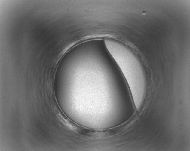 X0000080711177200612150855