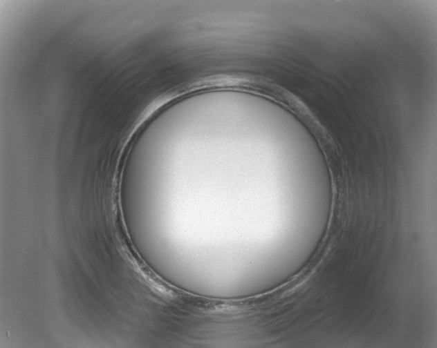 X0000080711178200612150855