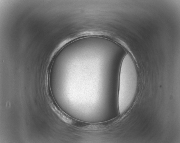 X0000080711179200612150855