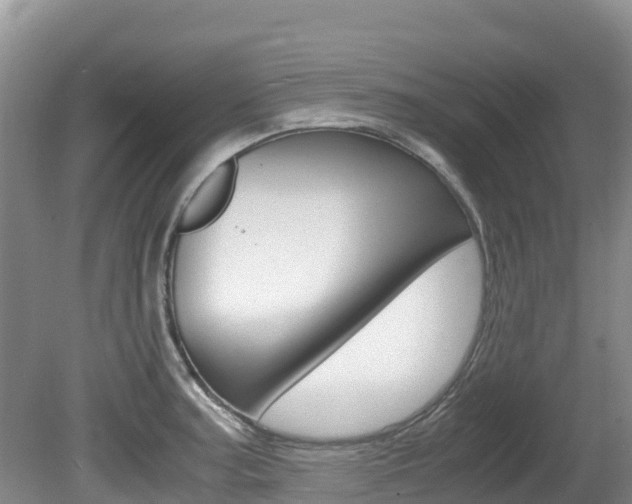 X0000080711187200612150854