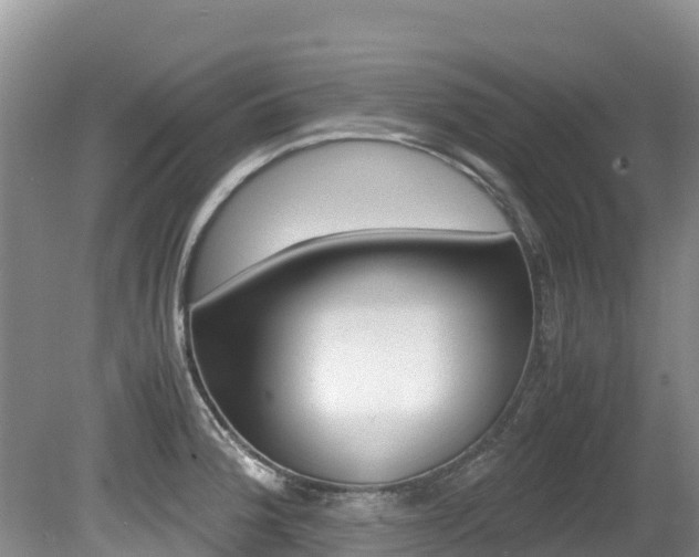 X0000080711188200612150854