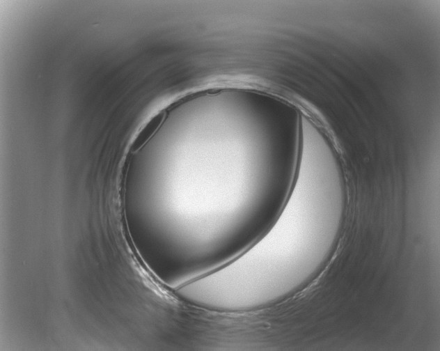 X0000080711192200612150854
