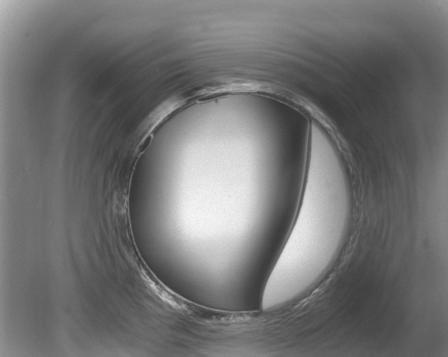 X0000080711193200612150854