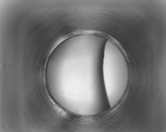 X0000080711194200612150854