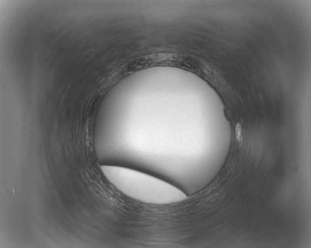 X0000080711203200612150853