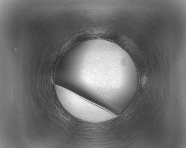 X0000080711204200612150853