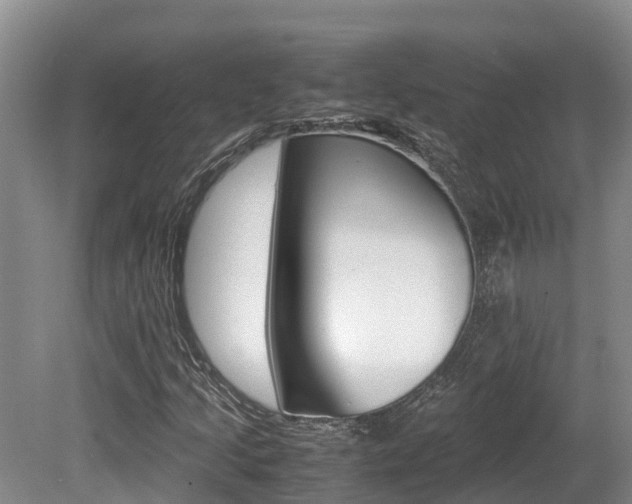 X0000080711205200612150854