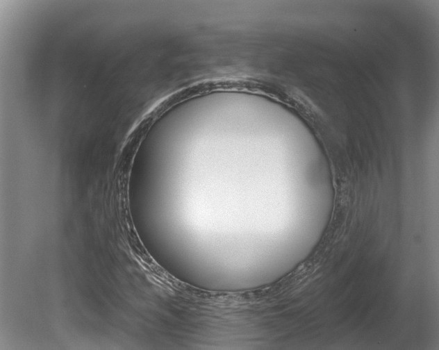 X0000080711208200612150854