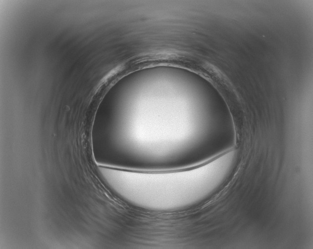 X0000080711210200612150854