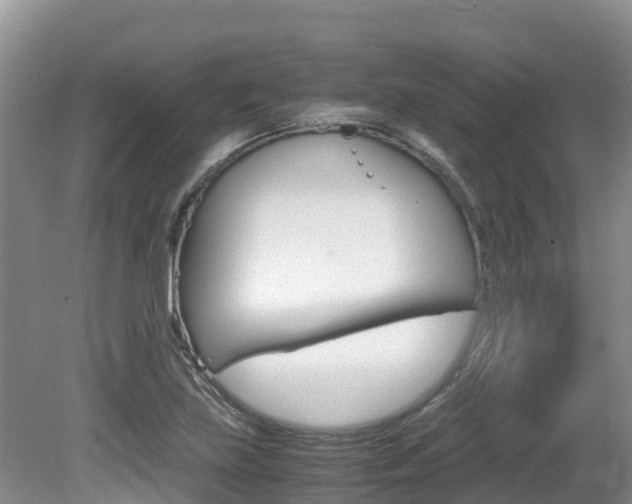 X0000080711219200612150854