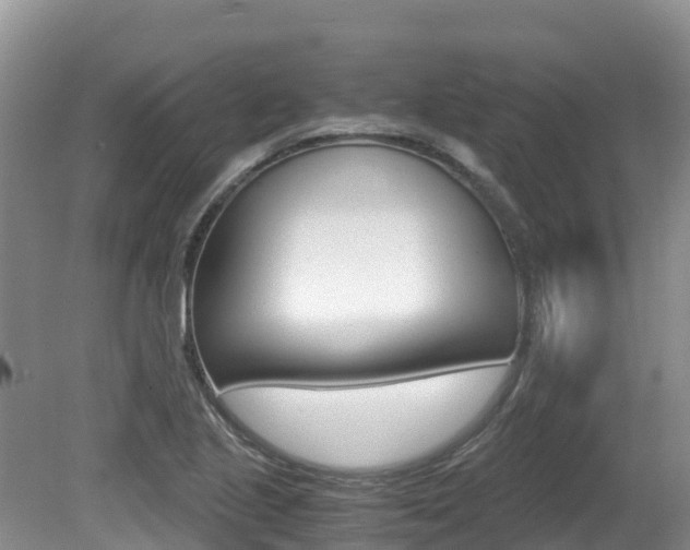 X0000080711221200612150854