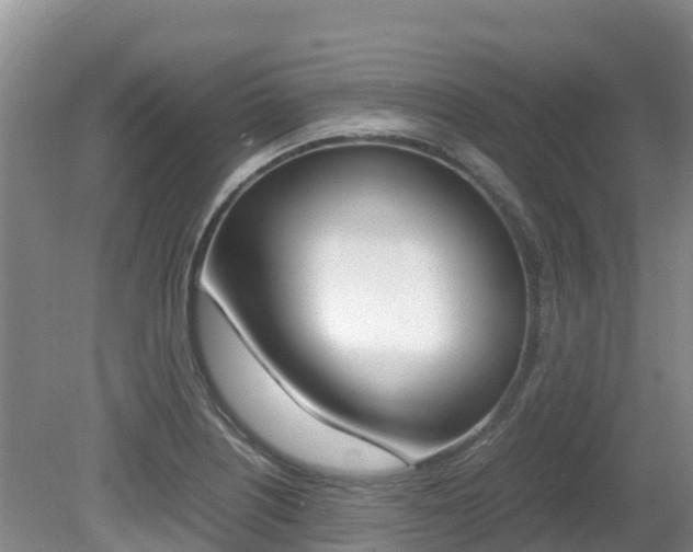 X0000080711226200612150854