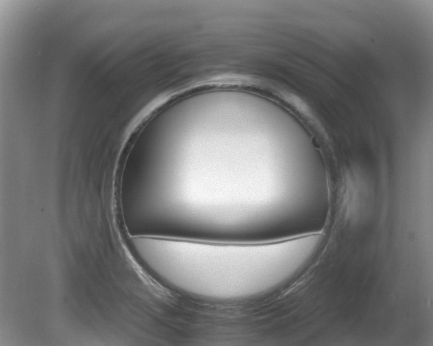 X0000080711229200612150854