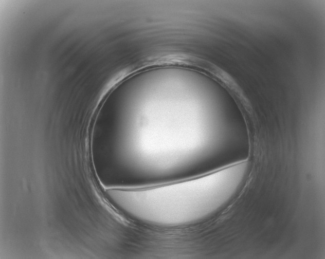 X0000080711234200612150854