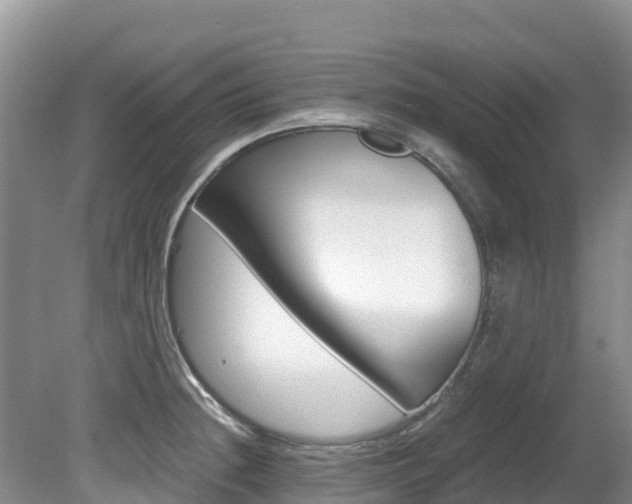 X0000080711236200612150854